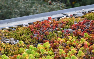 the cost of Milton Of Edradour green roof installation
